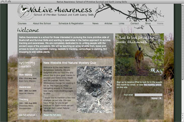 Screenshot of featured website